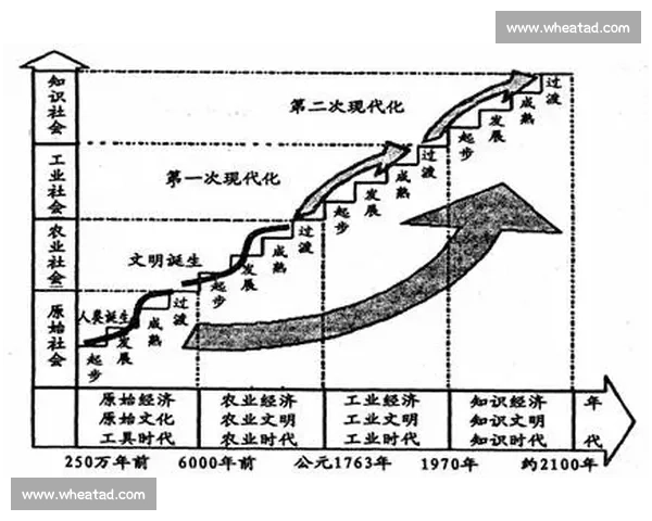 历史长河中的文明演进与人类社会发展全景新视角