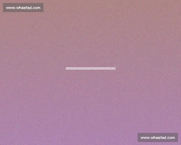 体育网聚焦赛场风云解析联赛焦点与球星动态全面追踪赛事走势与数据洞察