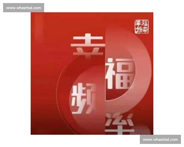 在快与慢之间学会暂停让生活重新对齐方向与节奏内心平衡成长智慧