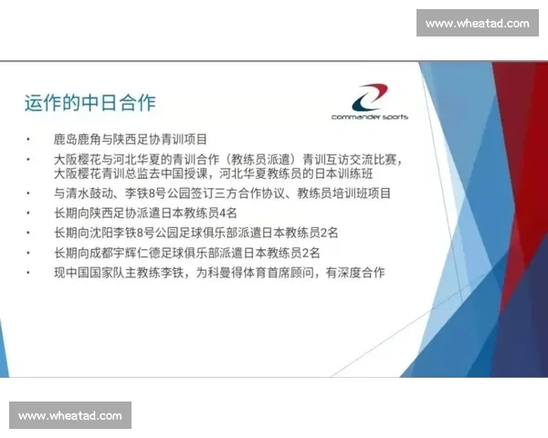 围绕禁赛风波引发的规则公正与体育精神的深度反思与行业治理挑战
