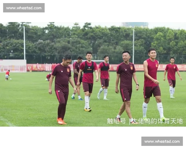 以轮换球员为核心打造球队深度与持续竞争力的新思路与赛季稳定表现