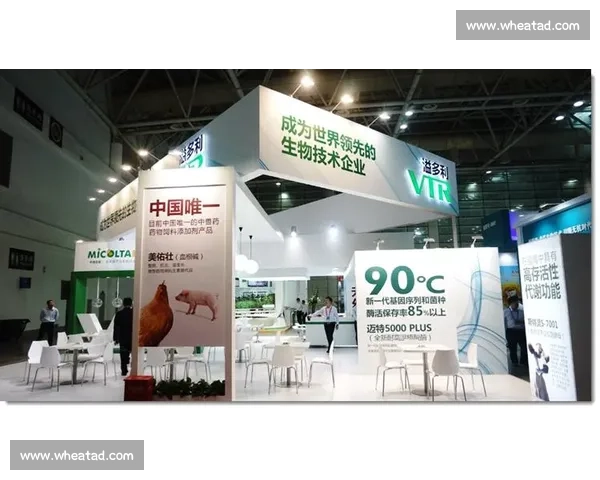 电竞赛事品牌运营战略创新与市场拓展路径分析