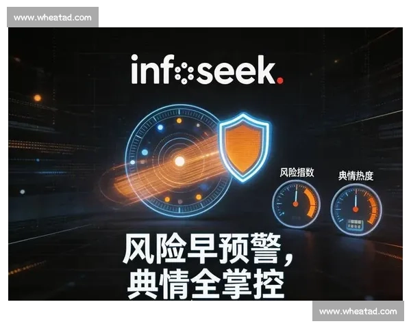 基于爆发能力的全面解析与应用探索