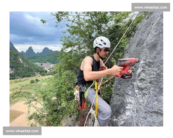 挑战自我极限:探索高山登顶的魅力与技巧 挑战自我极限:探索高山登顶的魅力与技巧